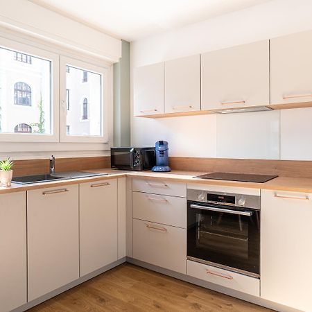 Festival -Appartement 3 Pieces Annecy Centre Ville Екстер'єр фото